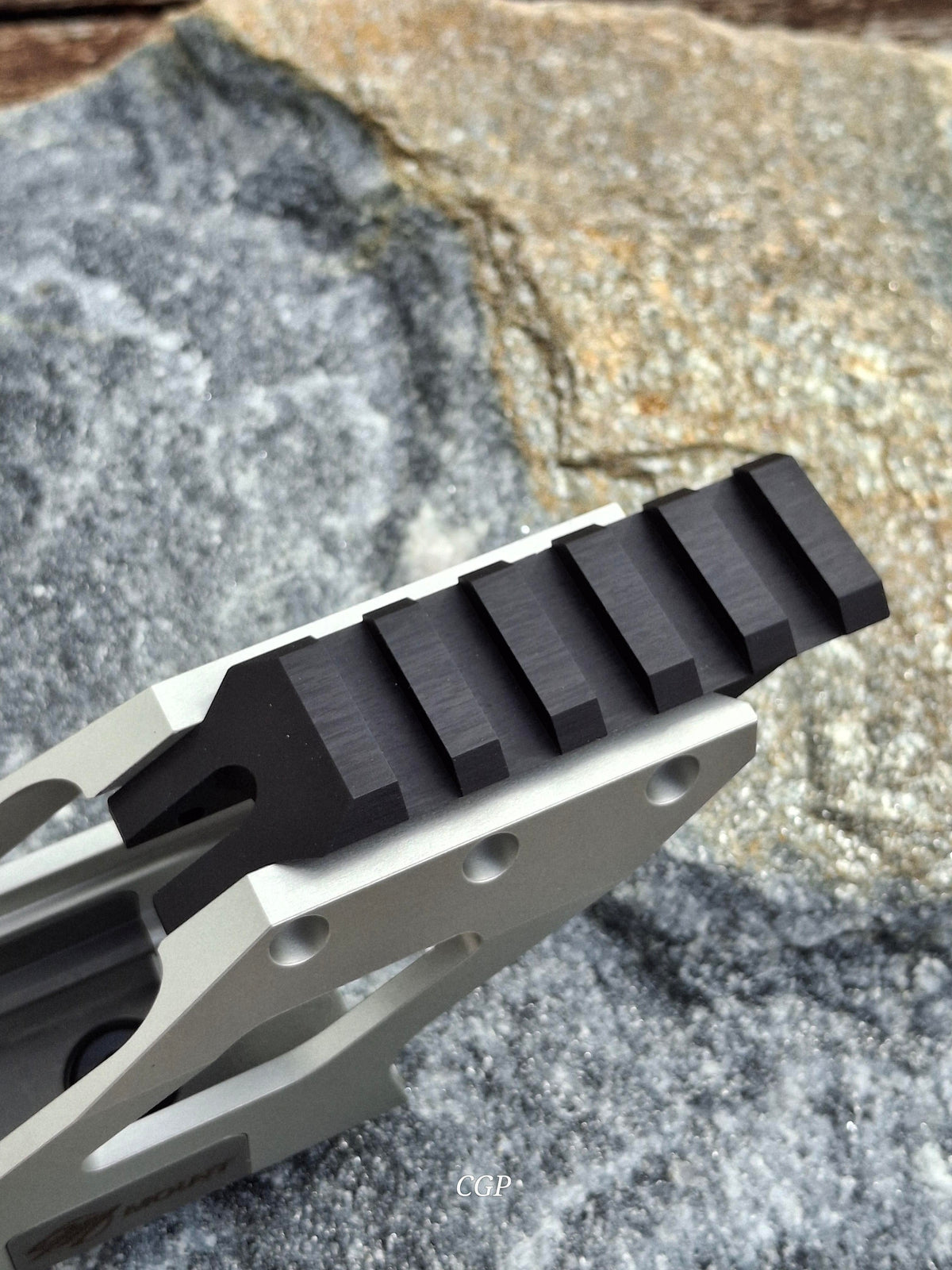 GSG Mastershop Sig Sauer P220 P226 X Mount Brückenmontage Adapterplatte Picatinny